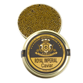 Royal Imperial - Kaluga Hybrid